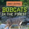 Bobcats in the Forest - 9781538279076 by Donna Reynolds, 9781538279076