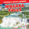 Niagara Falls by Bray Jacobson, 9781538276877