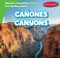 Cañones / Canyons by Tanner Billings, Diana Osorio, 9781538276075