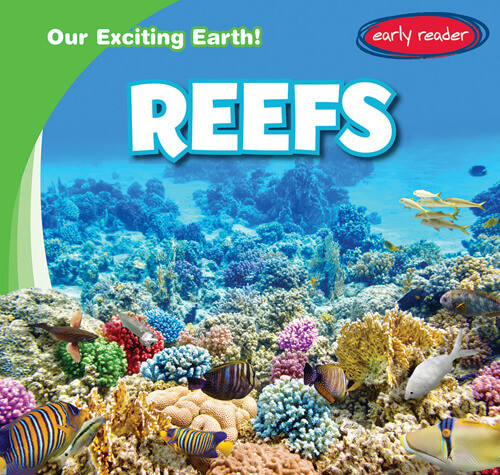 Reefs by Tanner Billings, 9781538275733