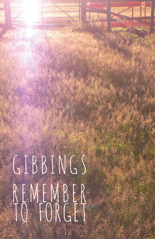 Remember to Forget by Jonny Gibbings, 9781782793885