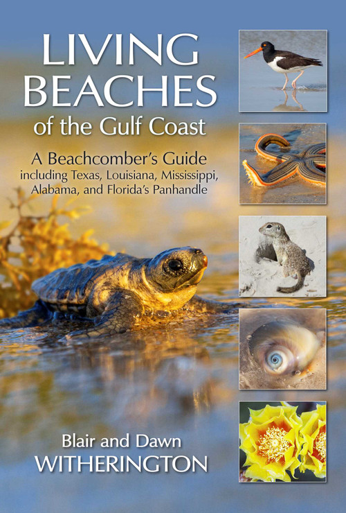 Living Beaches of the Gulf Coast (A Beachcombers Guide including Texas, Louisiana, Mississippi, Alabama and Florida's Panhandle) by Blair Witherington, Dawn Witherington, 9781683340560