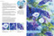 Watercolour Nature Unleashed by Jane Betteridge, 9781800920415