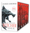 The Witcher Boxed Set: Blood of Elves, The Time of Contempt, Baptism of Fire, The Tower of Swallows, The Lady of the Lake by Andrzej Sapkowski, Danusia Stok, David French, 9780316498845
