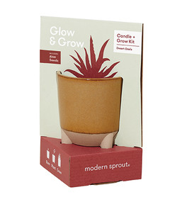 Glow & Grow - Aloe, MS-GBC-1010