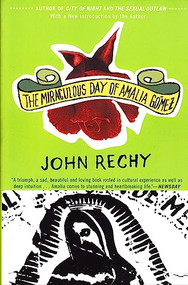 The Miraculous Day of Amalia Gómez by John Rechy, 9780802138477