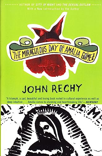The Miraculous Day of Amalia Gómez by John Rechy, 9780802138477