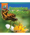 Insectos sedientos (Thirsty Bugs) (Spanish Edition) by Lisa J. Amstutz, Alma Patricia Ramirez, 9781731652676