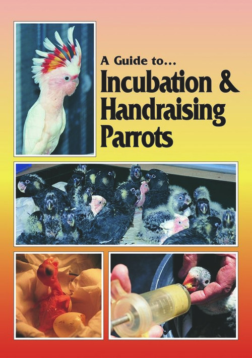A Guide to Incubation & Handraising Parrots by Phil Digney, 9780958710213