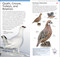 AMNH Pocket Birds of North America Eastern Region by DK, 9780744074130