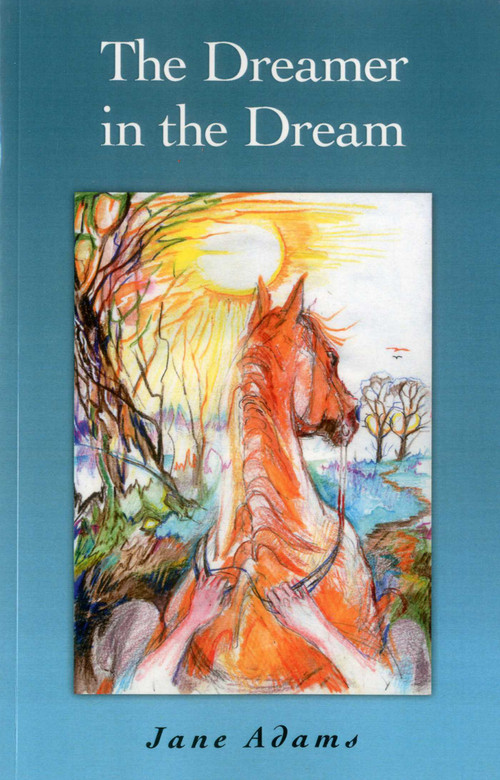 The Dreamer in the Dream by Jane Adams, 9781846949821
