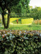 Intersection of Nature and Art (James Doyle Design Associates) by James Doyle Design Associates, 9781864709254