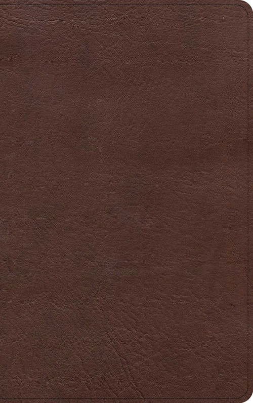 KJV Single-Column Personal Size Bible, Brown LeatherTouch by Holman Bible Publishers, 9781087722160