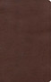KJV Single-Column Personal Size Bible, Brown LeatherTouch by Holman Bible Publishers, 9781087722160