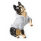 Obedience School Dropout Dog Hoodie - XS, 9780735375444