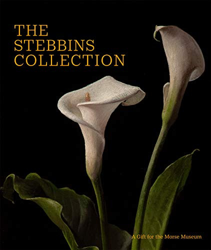 The Stebbins Collection (A Gift for the Morse Museum) by Regina Palm, Virginia Anderson, 9781913875046