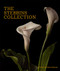 The Stebbins Collection (A Gift for the Morse Museum) by Regina Palm, Virginia Anderson, 9781913875046
