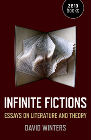 Infinite Fictions (Essays on Literature and Theory) by David Winters, 9781782798033