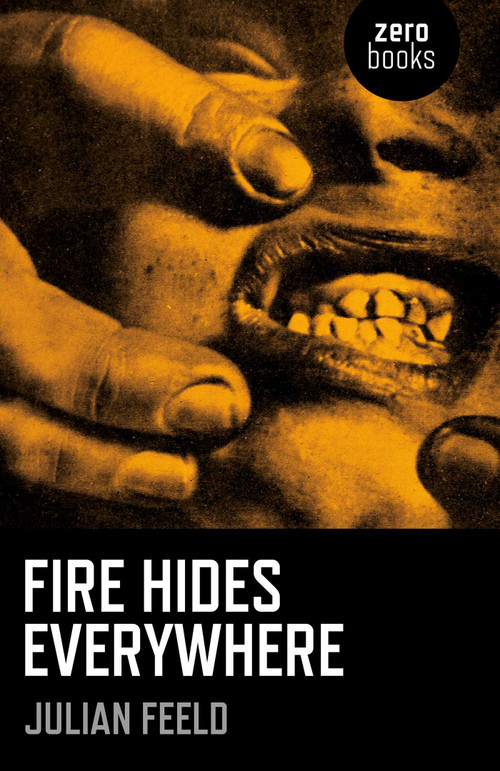 Fire Hides Everywhere by Julian Feeld, 9781785355493