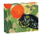 teNeues - QuickNotes: Butterflies, Notecard Box, Blank Inside, 20 Full Color Notecards with 20 Envelopes, Gift Box with Magnetic Closure by teNeues, 9781623259068