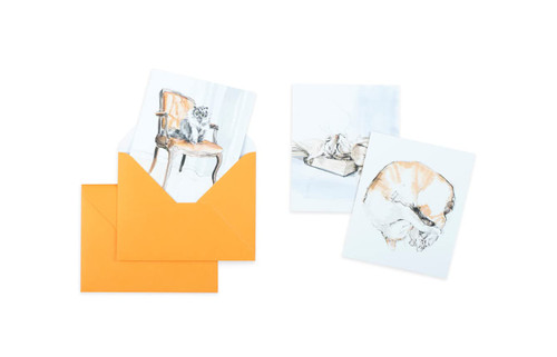 For the Love of Cats: 20 Individual Notecards and Envelopes by Ana Sampson, 9781399600125