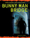 Bunny Man Bridge by Virginia Loh-Hagan, 9781634729017
