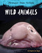 Wild Animals by Virginia Loh-Hagan, 9781634728881