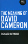 The Meaning of David Cameron by Richard Seymour, 9781846944567
