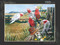 Galah Quintet 1000-Piece Puzzle by Garry Fleming, 9780987248541
