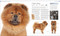 The Dog Encyclopedia by DK, 9780744073706