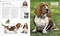 The Dog Encyclopedia by DK, 9780744073706