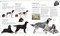 The Dog Encyclopedia by DK, 9780744073706