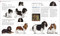 The Dog Encyclopedia by DK, 9780744073706