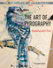 Innovative Artist: Art of Pyrography, The (Drawing with fire) by Cherry Ferris, 9781782219385