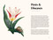 Tulips (A Little Book of Flowers) by Tara Austen Weaver, 9781632174444