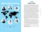 The Climate Action Handbook (A Visual Guide to 100 Climate Solutions for Everyone) by Heidi Roop, 9781632174147