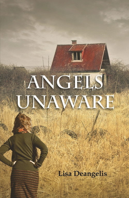 Angels Unaware by Lisa DeAngelis, 9781646030699