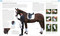 Complete Horse Riding Manual by William Micklem, 9780744069808