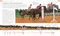 Complete Horse Riding Manual by William Micklem, 9780744069808