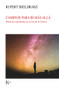 Caminos para ir más allá (Prácticas espirituales en la era de la ciencia) (Spanish Edition) by Rupert Sheldrake, 9788499887579