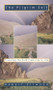 Pilgrim Self (Traveling the Path from Life to Life) by Robert  Ellwood, 9780835607391