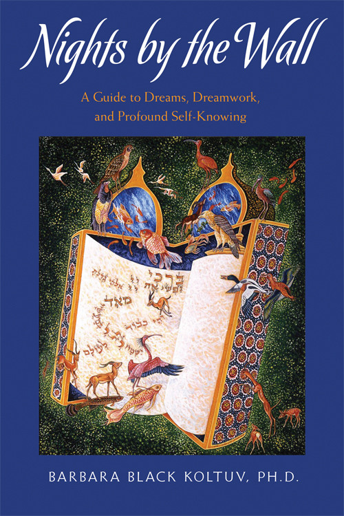 Nights by the Wall (A Guide to Dreams, Dreamwork, and Profound Self-Knowledge) by Barbara Black Koltuv, 9780892541515