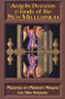 Angels, Demons & Gods of the New Millennium by Lon Milo DuQuette, 9781578630103