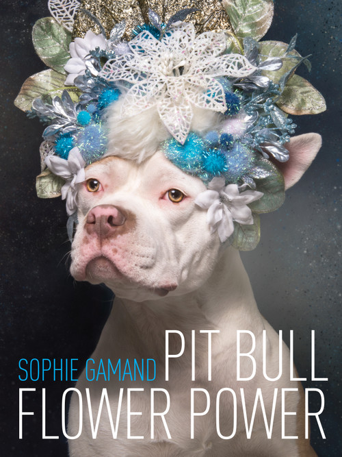 Pit Bull Flower Power by Sophie Gamand, 9781590565827