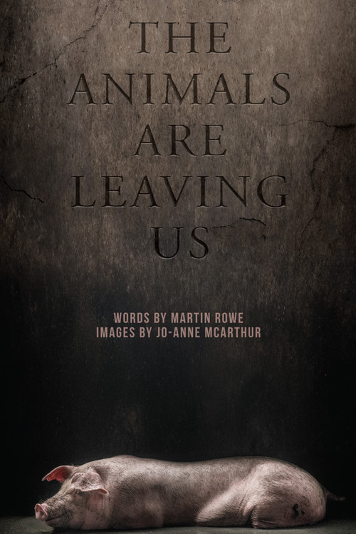 The Animals Are Leaving Us by Martin Rowe, McArthur Jo-Anne, 9781590566459