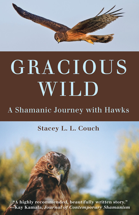 Gracious Wild (A Shamanic Journey with Hawks) by Stacey L.L. Couch, 9781618520708