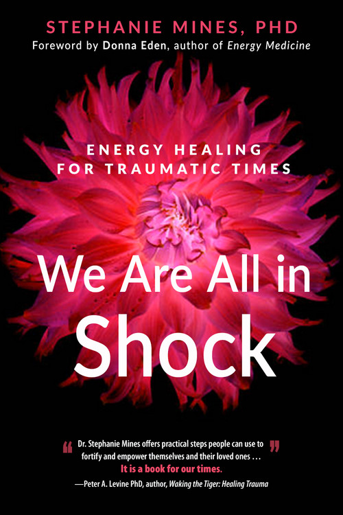 We Are All in Shock (Energy Healing for Traumatic Times) by Dr. Stephanie Mines, Donna Eden, 9781632651952