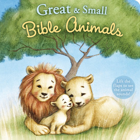 Great and Small Bible Animals by B&H Kids Editorial Staff, Anna Abramskaya, 9781087755960