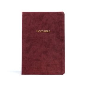 KJV Rainbow Study Bible, Burgundy LeatherTouch, Indexed by Holman Bible Publishers, 9781087782744