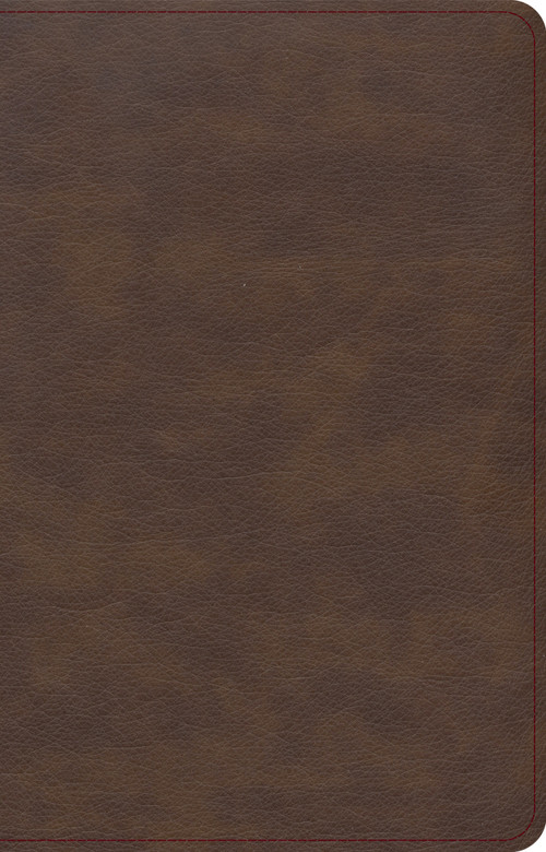 KJV Single-Column Compact Bible, Brown LeatherTouch by Holman Bible Publishers, 9781087782805